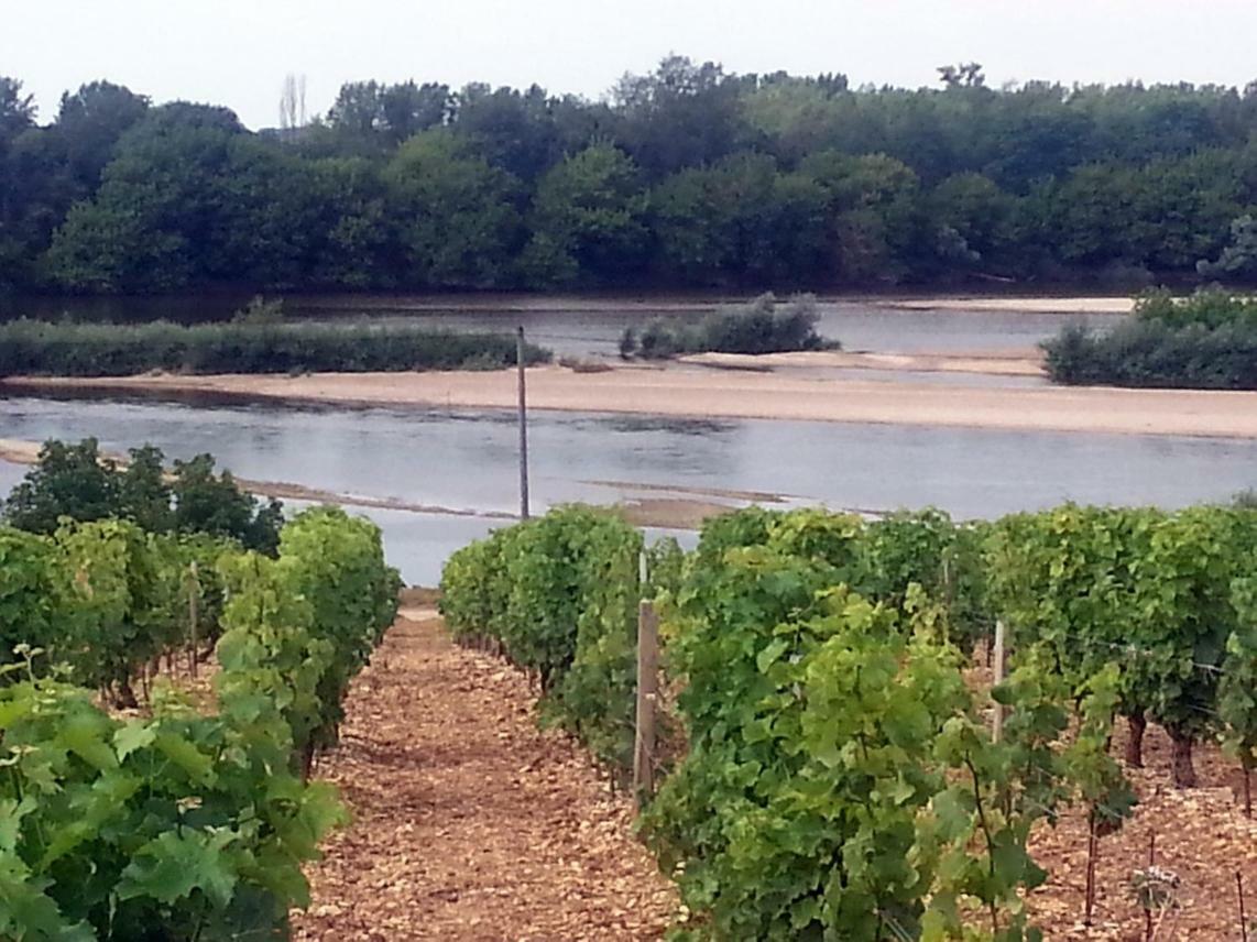 Gite Des Chaumiennes Pouilly-sur-Loire Buitenkant foto
